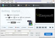 4Easysoft Free MP4 Converter screenshot